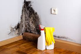 Best Mold Odor Removal Services in Chester, MD